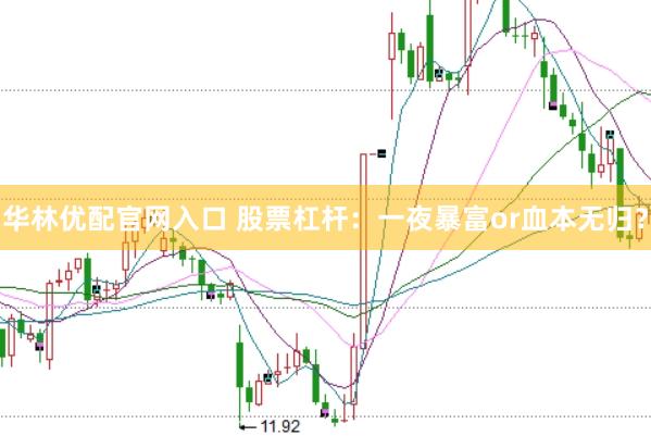 华林优配官网入口 股票杠杆：一夜暴富or血本无归？