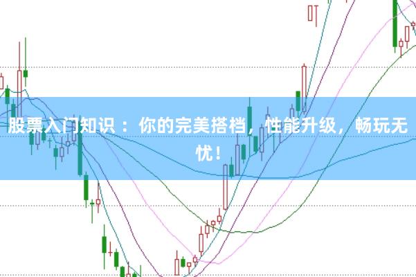 股票入门知识 ：你的完美搭档，性能升级，畅玩无忧！
