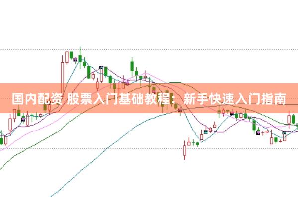 国内配资 股票入门基础教程：新手快速入门指南
