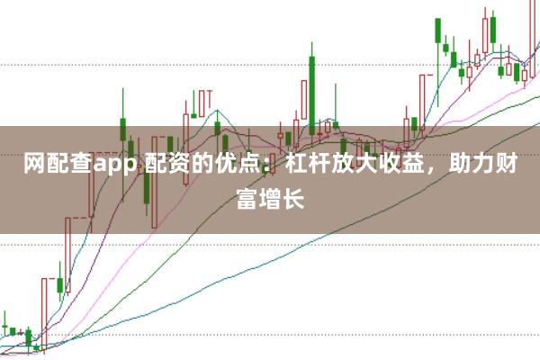 网配查app 配资的优点：杠杆放大收益，助力财富增长