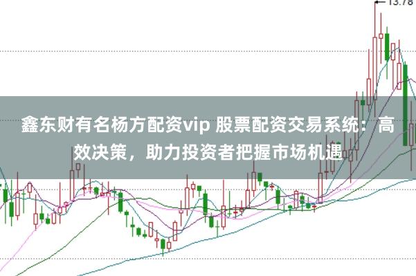鑫东财有名杨方配资vip 股票配资交易系统：高效决策，助力投资者把握市场机遇