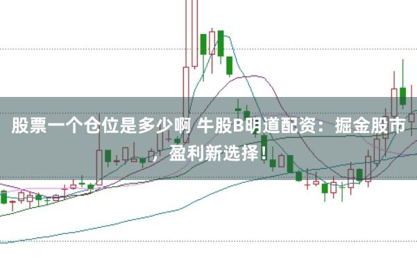 股票一个仓位是多少啊 牛股B明道配资：掘金股市，盈利新选择！