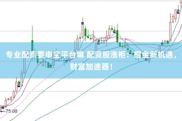 专业配资要申宝平台嘛 配资股涨柜：掘金新机遇，财富加速器！