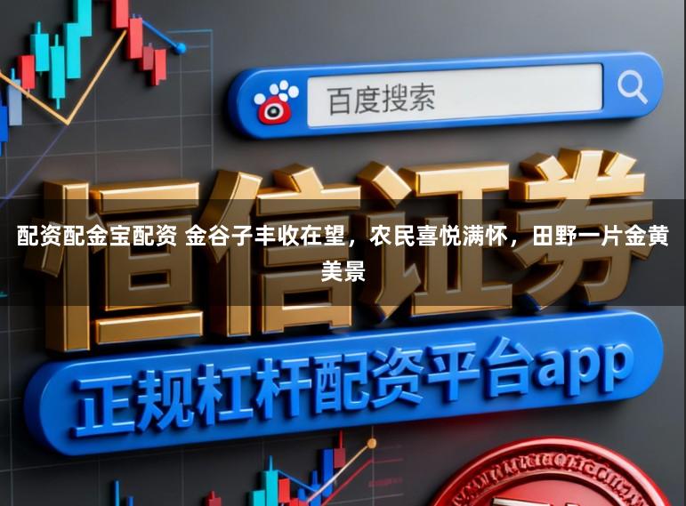 配资配金宝配资 金谷子丰收在望，农民喜悦满怀，田野一片金黄美景