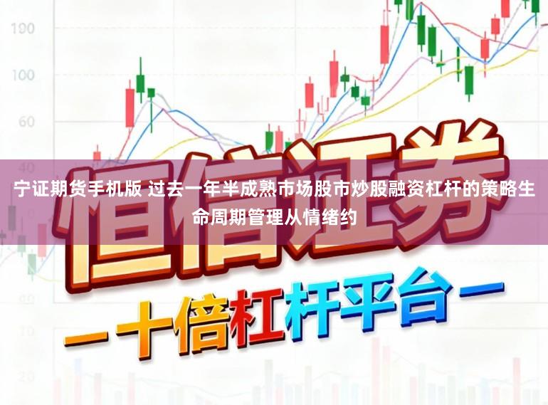 宁证期货手机版 过去一年半成熟市场股市炒股融资杠杆的策略生命周期管理从情绪约