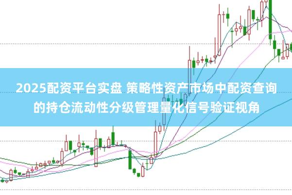 2025配资平台实盘 策略性资产市场中配资查询的持仓流动性分级管理量化信号验证视角