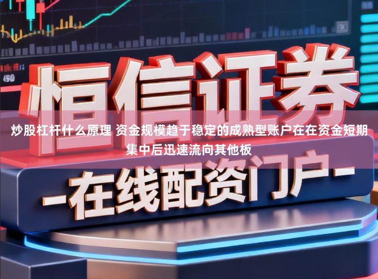 炒股杠杆什么原理 资金规模趋于稳定的成熟型账户在在资金短期集中后迅速流向其他板