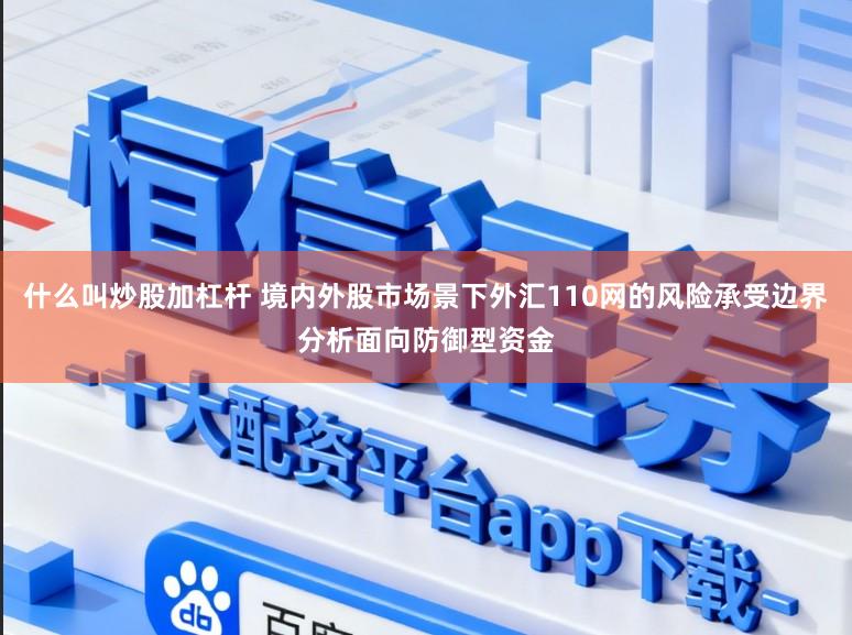什么叫炒股加杠杆 境内外股市场景下外汇110网的风险承受边界分析面向防御型资金
