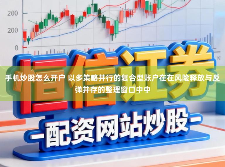 手机炒股怎么开户 以多策略并行的复合型账户在在风险释放与反弹并存的整理窗口中中